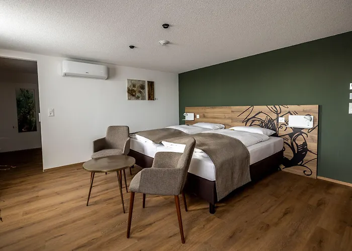 & Restaurant Baeren Hotel 3*